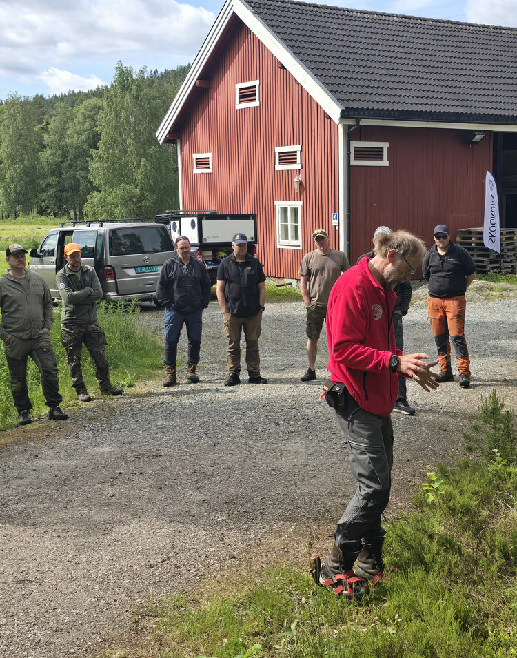 Temaheftet jakt på villsvin