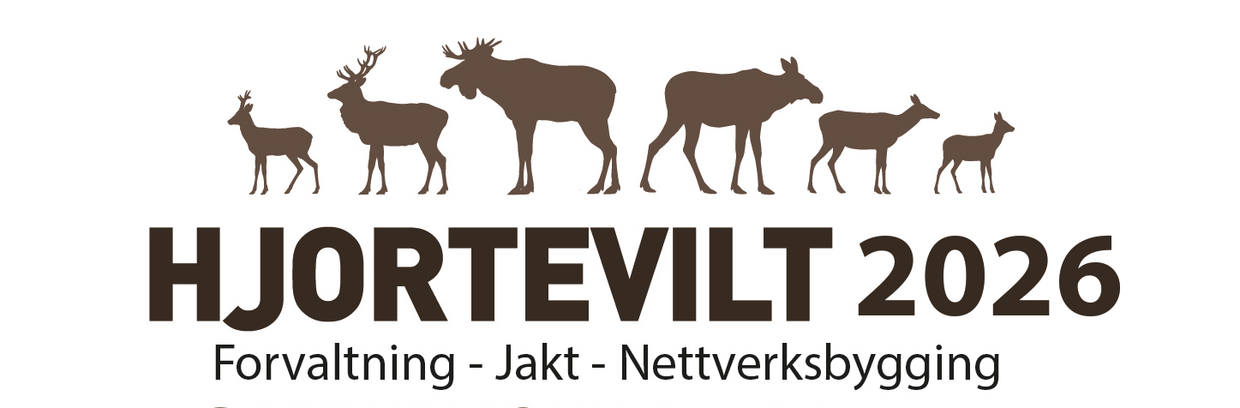 De som deltar i Skogkurspodden om villsvin: Bjørn Toverud, Pål Sindre Svae, Dagh Bakka og Øyvind Juliussen.