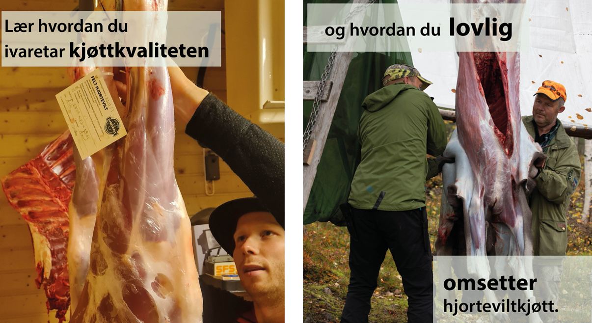 De som deltar i Skogkurspodden om villsvin: Bjørn Toverud, Pål Sindre Svae, Dagh Bakka og Øyvind Juliussen.